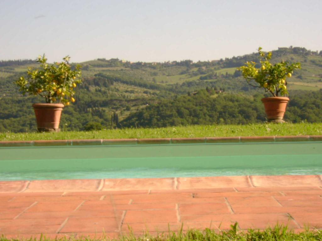 Bauernhof Il Santo Greve in Chianti