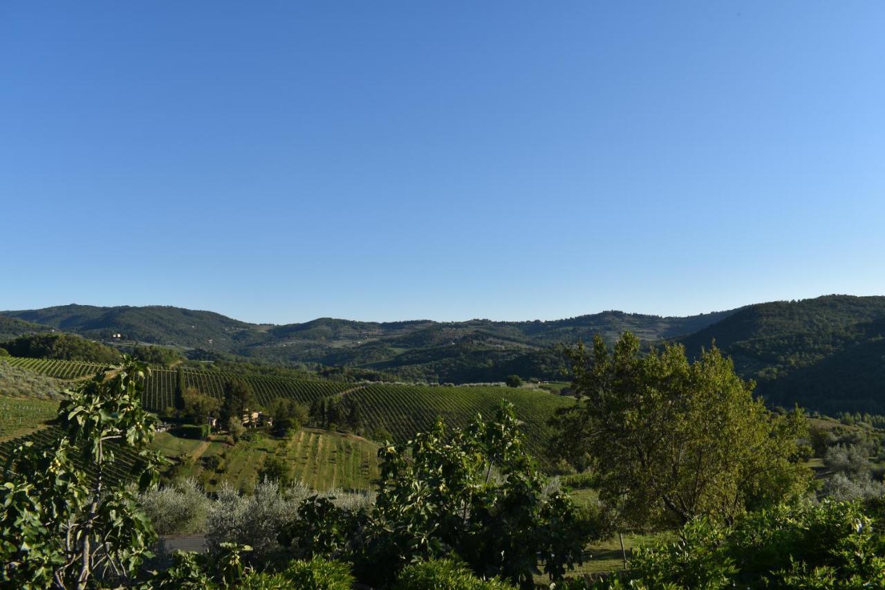 Il Santo Bauernhof Greve in Chianti